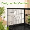 4 Pcs 2 in 1 Design Bird Feeder Hanging Type Non-Toxic Material Bird Food Container Durable Rest Frame Included Cage Accessories