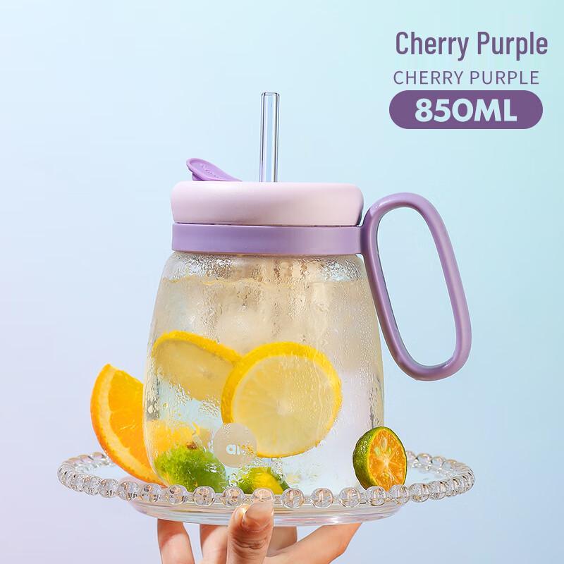 AKS High Borosilicate Glass Tea Infuser Cup with Handle