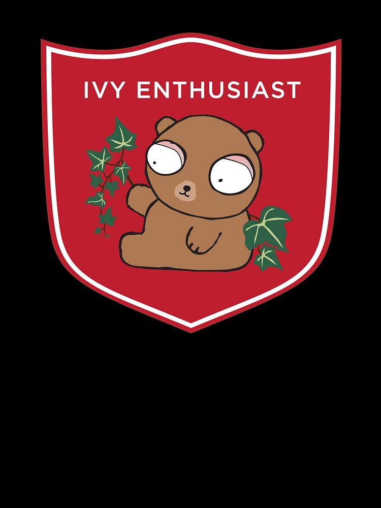 Cornell University Ivy Enthusiast Bear Oversized Unisex T-Shirt