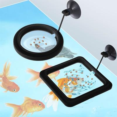 Vissen en zeedieren – Aquarium onderhoud