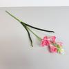 Takje - schuimfreesia donkerroze 59 cm
