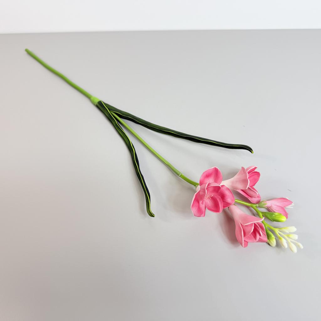 Takje - schuimfreesia donkerroze 59 cm