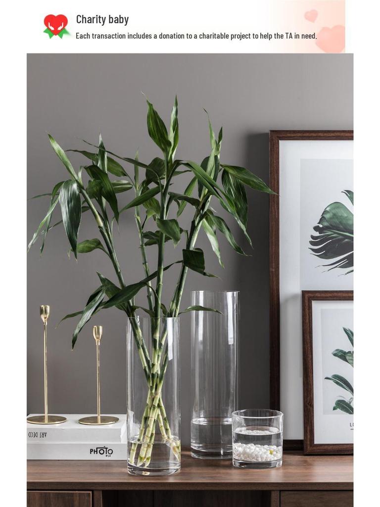 Bardzo Duży Przezroczysty Szklany Wazon do Salonu lub na Stół Jadalny - Idealny do Bambusa, Suszonych Kwiatów i Aranżacji Wodnych