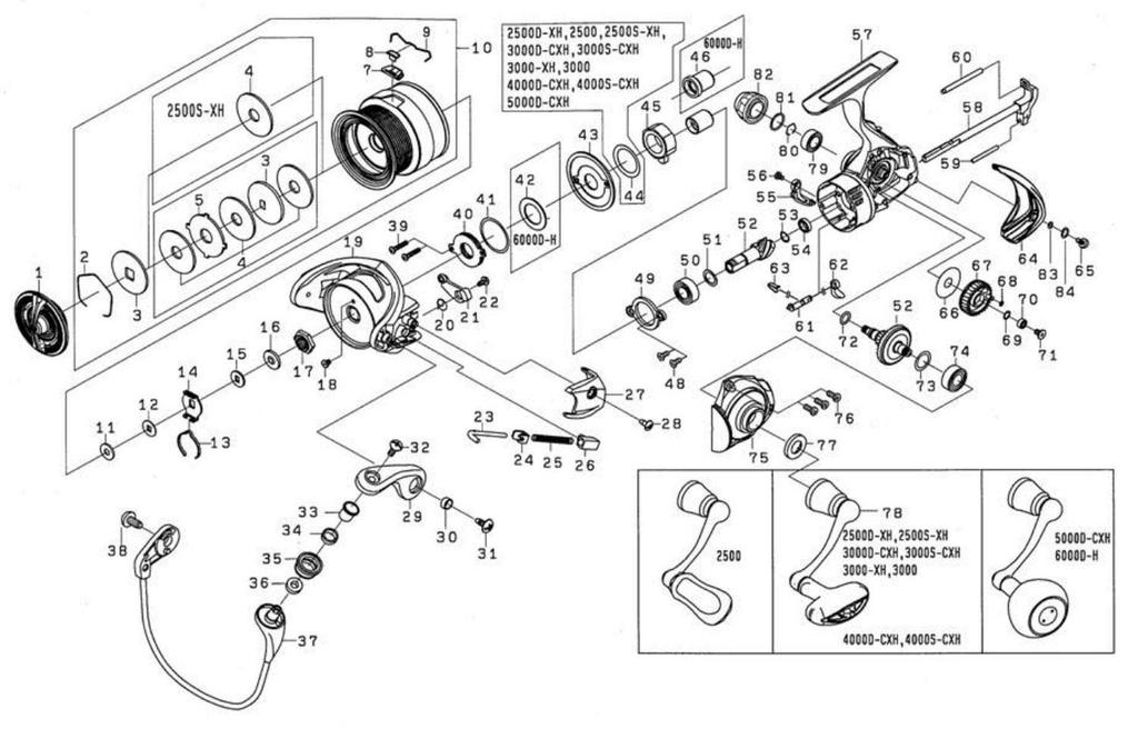 Buton de frână Daiwa original pentru 19 Lexa LT4000S-CXH (Număr piesă 6J698703)