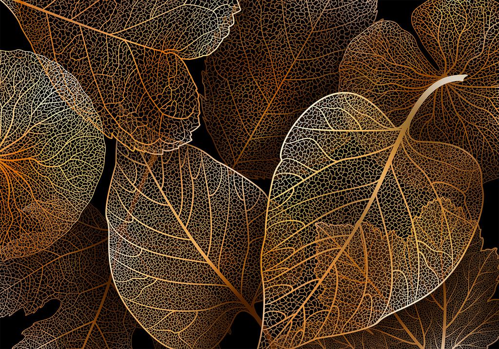 Fototapeta - Natura W Moim Domu - Pierwszy Wariant