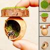 Mini Magnetic Spider Hide Cave Handmade Jumping Spider Enclosure Natural Habitat Decoration for Spider Lovers