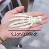 Flexible Joint Skeleton Hand Realistic Design Zombie Festival Props  Party Decoration