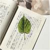 Acrylic Red Apple Bookmark Acrylic Fruit Translucent Student Reading High-quality Bookmark Creative Birthday Gifts for Bookworm