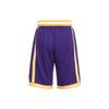 Li Ning Sports Basketball Collection Basketball Shorts Men's AAPR353-5