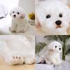Adorable White Maltese Plush Toy, Fiber Filled, Long Haired Stuffed Animal, 33x24x16cm/38x26x21cm