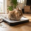 Double Layer Rabbit Training Toilet Potty Training Aid Removable Tray Small Animal Litter Box Splash-Proof Plastic