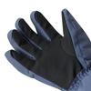 Dare 2B Mens Pinnacle Waterproof Ski Gloves