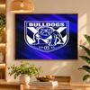 5D Diamond Painting Canterbury-Bankstown Bulldogs DIY Full Drill Diamond Art Kit Home Decoration
