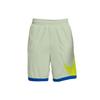Nike Basketball Shorts Men's Green DH6764-017