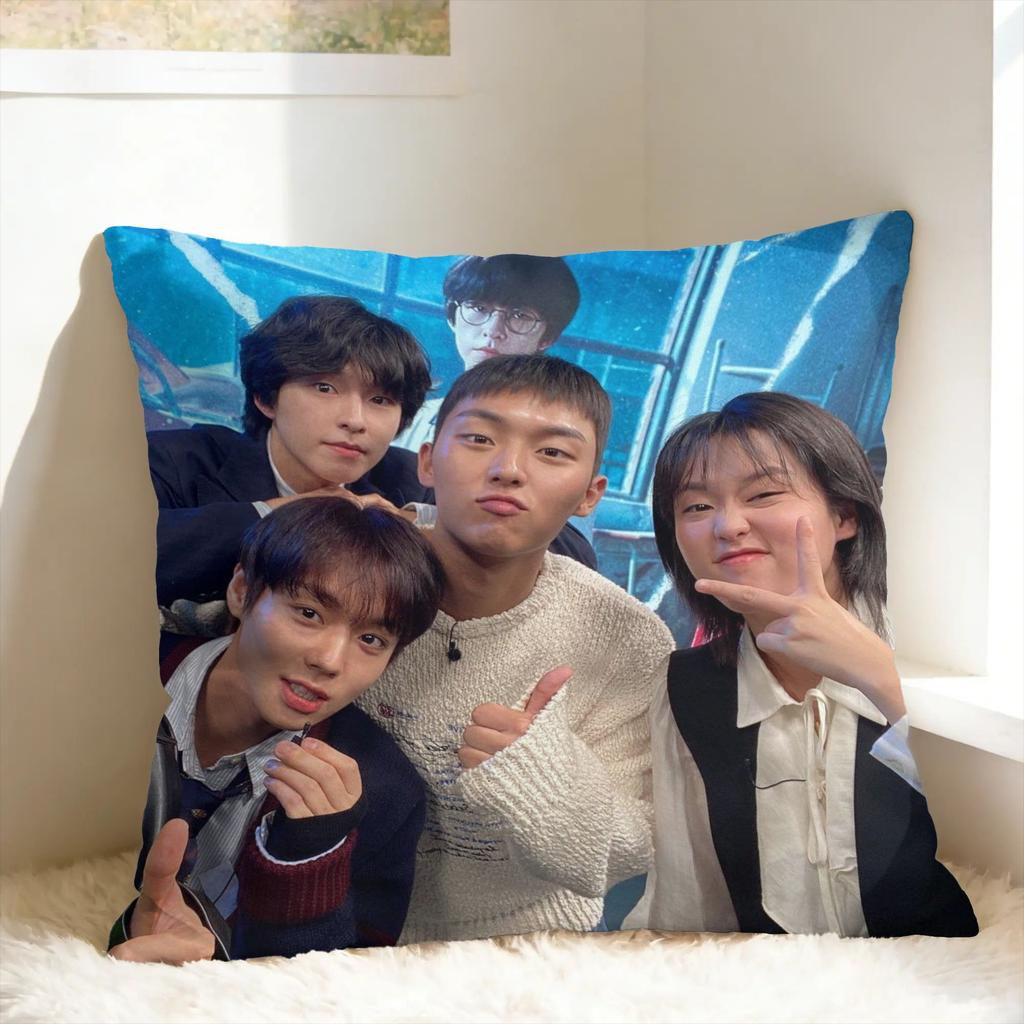 Hot Kdrama Weak Hero Class Pillow Case Funny Pillow Cover Soft Pillowcases For Couch Sofa Bedroom