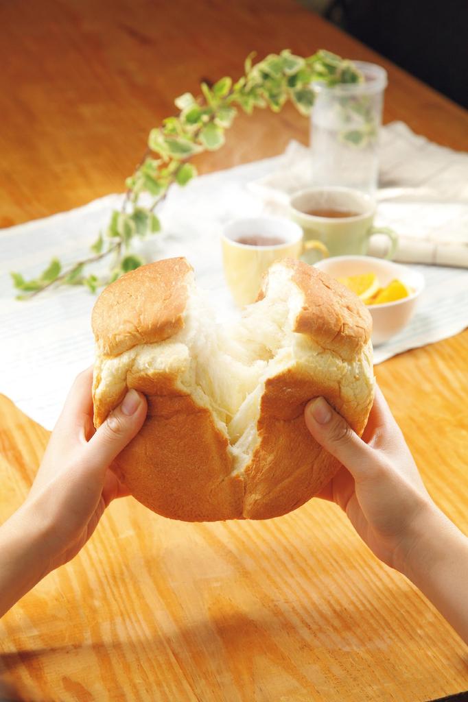 Panasonic Home Bakery Pink SD-BM104-P