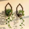 Plant Propagation Station Wall Hanging Wooden Shelf Plant Terrarium for Hydroponics Home Office Decor Air Plant Cutting Holder Propagate Test Tube