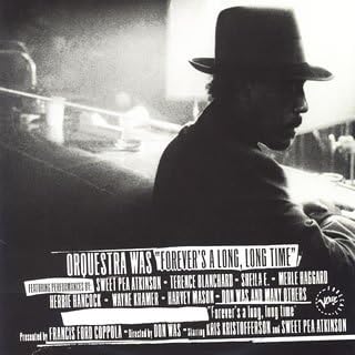 

CD DON WAS, ORCHESTRA WAS - Forever s a Long POCP7218PROMO Japan ObiJazz Used