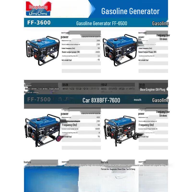Dongcheng Portable Gasoline Generator CN plug (adapter included)