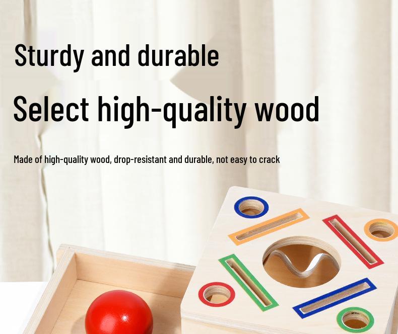Montessori Color & Shape Recognition Building Blocks for Toddlers