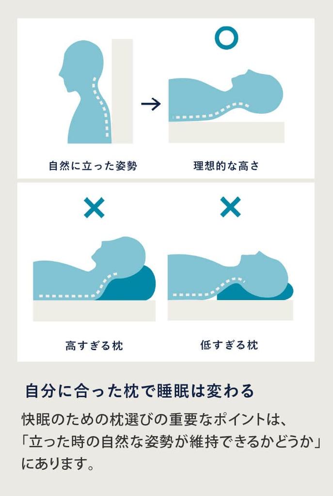 Colantotte RESNO Magnetic Pillow Pillow Pillow Managed Medical Equipment MAG-RA