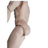Original Adonis Male Muscle Body Super White Skin Tone 1/6 Dolls Yoga Joints Movable 32cm Male Scale Mannequin Limited Collect