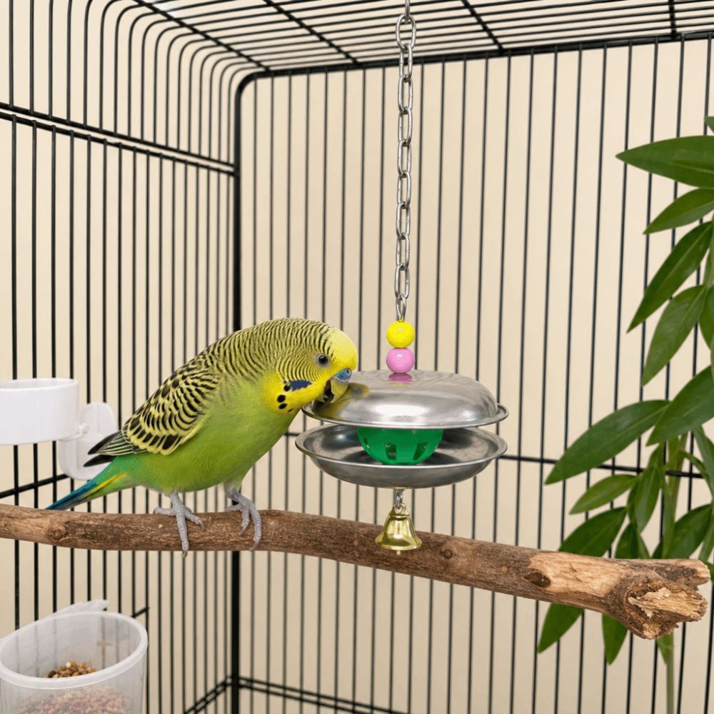 Bite Resistant Parrot Bell Pendant Colored Beads Bird Cage Toys Parrots Chew Swing  Cage Enrichment