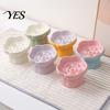 Vomiting Prevention Pet Bowl Ceramic Slow Feeder Bowl, Dogs Cats Anti-Choking Eating Food Elevated Feeding for Dry & Wet with Rose Pattern