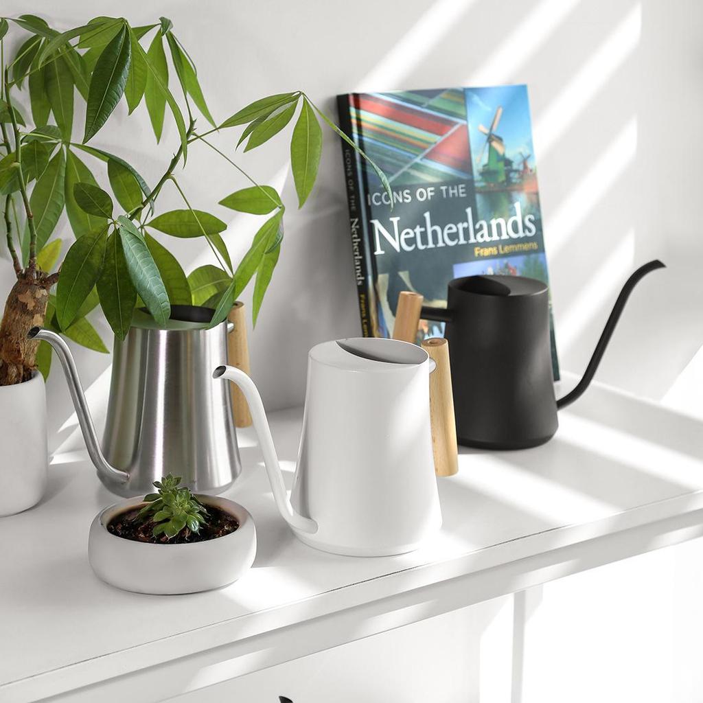 Stainless Steel 1000ml Watering Can with Wood Handle – Creative Slim Waist Design for Gardening