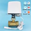 1/2" 3/4" 1" Tuya Zigbee Wifi Robinet de Apă Timer Automat de Oprire a Apei pentru Grădină Controller de Irigații Suport Alexa Google Home