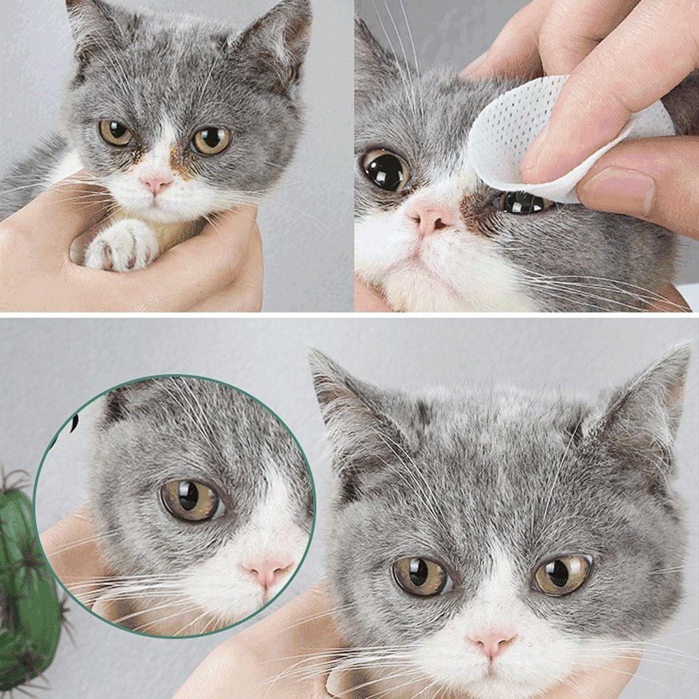 150pcs Ear Cleaning Wipes Pet Wipes Pet Cleaning Paper Towels  Cats And Dogs Universal