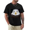 Eagle Unisex Meme TShirt T Shirt Unisex Cotton TShirt