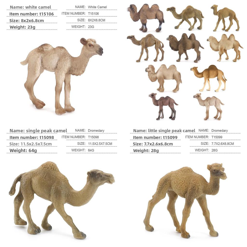 Animal Zoo Pvc Static Model Set With Desert Camels For Educational Display