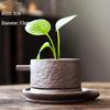Stylish Ceramic Pothos Hydroponic Flower Pot Vase for Home Decor
