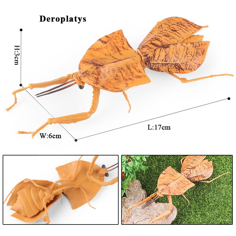 Oenux Wild Insect Animals Model Mantis Grasshopper Butterfly Bee Beetle Action Figures PVC Science Education Collection Kid Toy