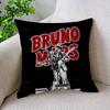 Miyan Bbruno Mars Kissenbezüge Cartoon Sofa Dekorative Heim Doppelseitiger Druck Kurzer Plüsch Niedlicher Kissenbezug