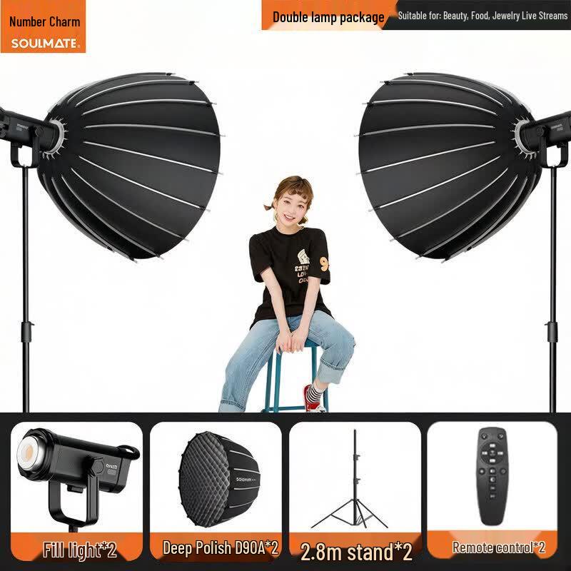 SOULMATE E300BiMax 300W Bi-Color LED Studio Light Kit