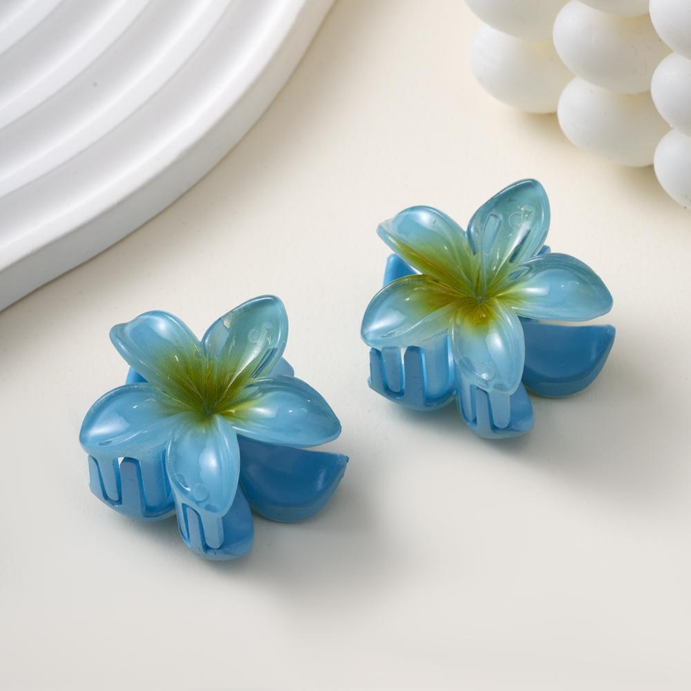 

2 шт. заколка для волос в виде цветка плюмерии, маленькая заколка для волос, женская заколка-краб для волос, корейские зажимы для волос, аксессуары для волос, дропшиппинг