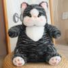 Bobo Cat Plush Toy: Kitten Doll for Girls, Perfect Birthday Gift