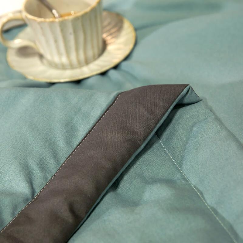 CHANSI Minimalistische Waschbare Sommerdecke