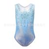 Girls Shiny Ballet Dance Gymnastics Leotard Tutu Dress Performance Outfit Set
