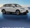 Tapis de protection pour le bas des sièges arrière Hongqi HS6 PHEV - Accessoires d'intérieur pour la protection des sièges arrière.