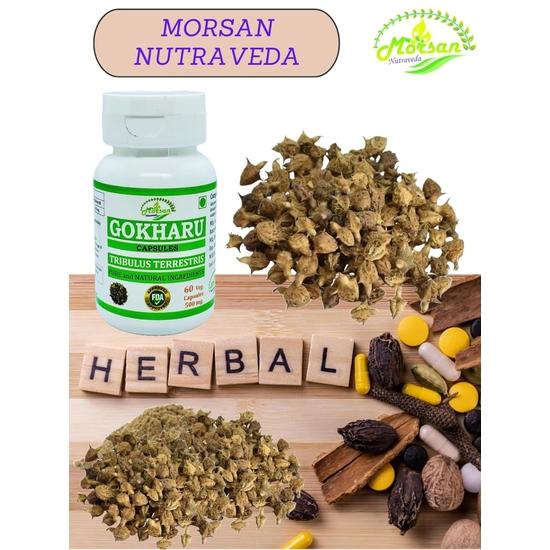 Morsan Nutraveda Gokhru (Tribulus Terrestris, Gokharu) Extract Capsule - 60 Veg. Capsules X 500 Mg (4 Packs of 60 Capsules)