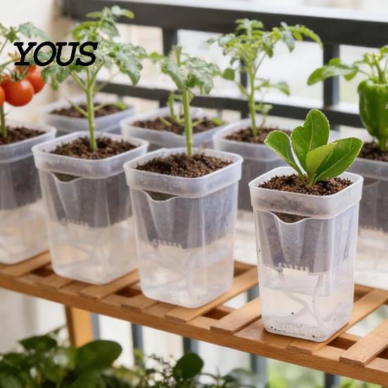 Automatic Watering Flower Pot Mini Self Pots with Wick, Clear Plastic Planters Drainage Holes & Water Level Indicator for Indoor Plants