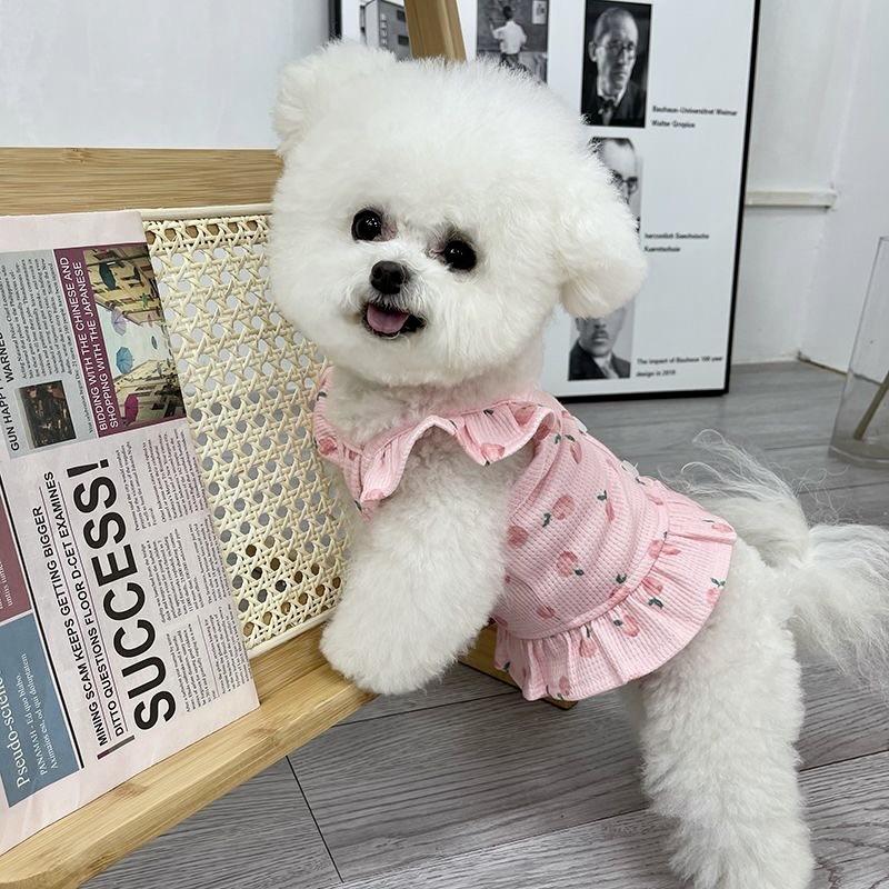 Pet Princess for Dog Small Dog Clothes Wedding Dress Princess Dress Spring Summer Soft Sweet Flying Sleeves Skirt Pet Clothes