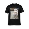 Bunny TShirt Soft Durable Cotton TShirt