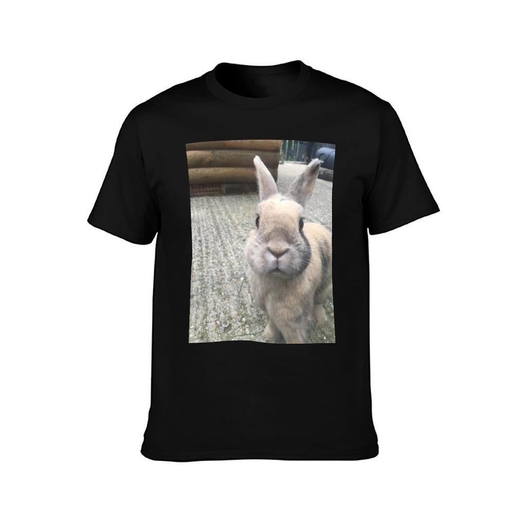 Bunny TShirt Soft Durable Cotton TShirt