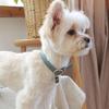 MAISON DE MIU Heart Pendant Collar - Indian Blue