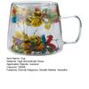 200ML Double Walled Glass Cups with Real Dried Flowers Heat Resistant Clear Coffee Mugs Floral Design Tea Cups for Elegant Sipping