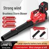 Brushless Lithium Battery Snow & Leaf Blower with Charger - Portable Turbine Fan